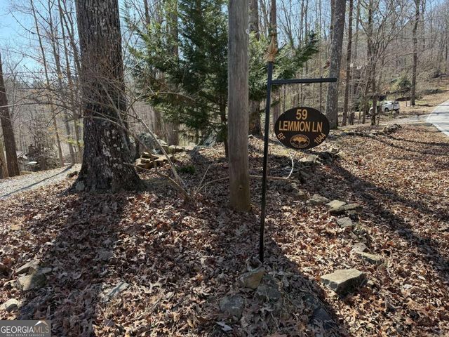 59 Lemmon Lane, Ellijay, GA 30540