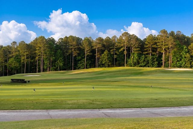101 Attwater Circle, Dawsonville, GA 30534