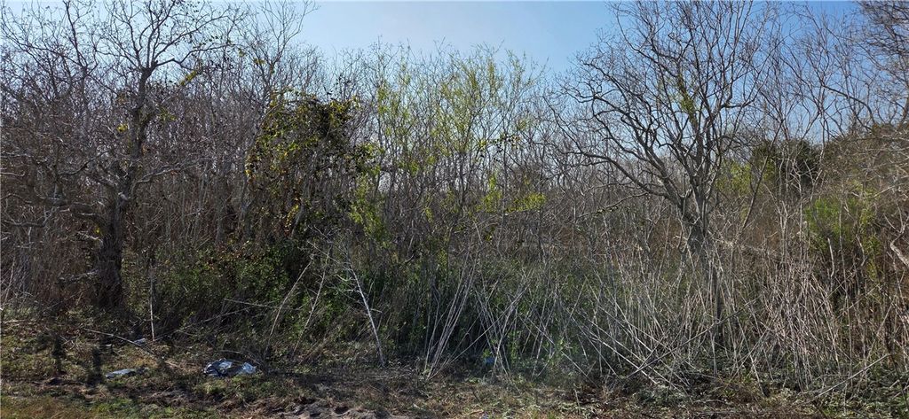 2515-B Monkey Road, Rockport, TX 78382 — photo 3