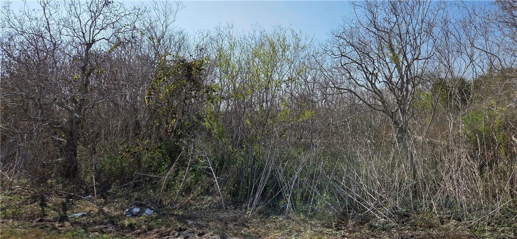 2515-B Monkey Road, Rockport, TX 78382 — photo 5