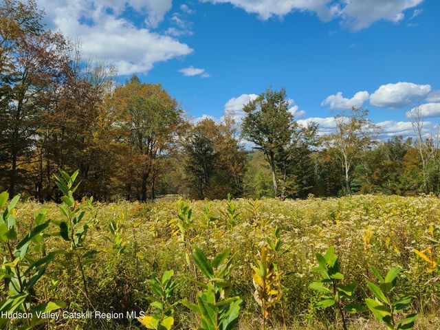 118 Hilltop Road, Monticello, NY 12701