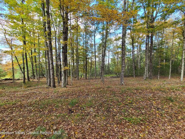 118 Hilltop Road, Monticello, NY 12701