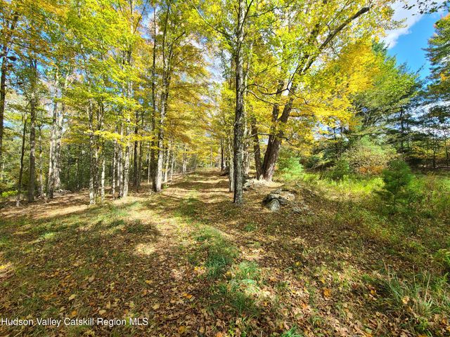 118 Hilltop Road, Monticello, NY 12701