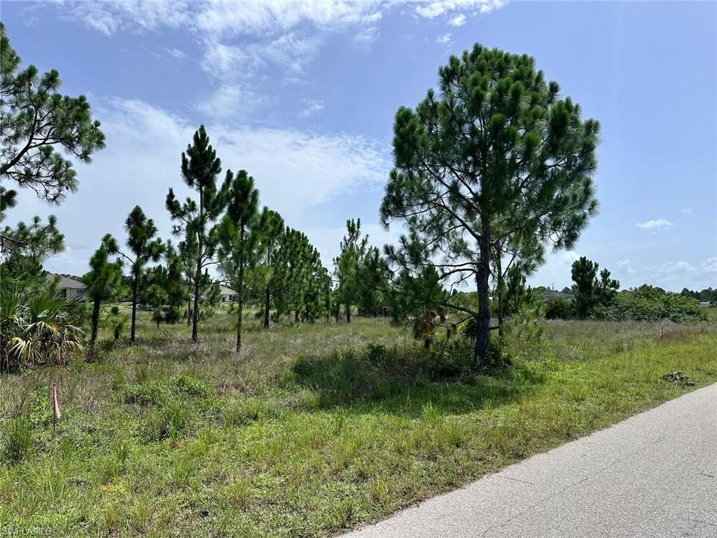 1123 Edgewood ST E, LEHIGH ACRES, FL 33974 — photo 3