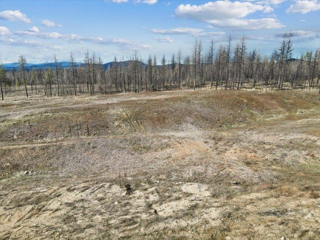 15015 E Eistrup Rd, Elk, WA 99009