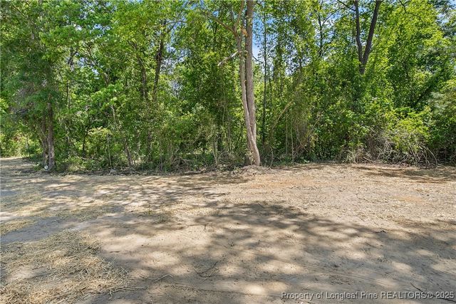 4935 High Branch Court, Stedman, NC 28391