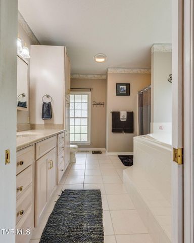 512 Wood View Court, Kingsport, TN 37664