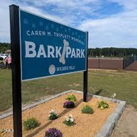 167 Maple Tree Lane, Wilsons Mills, NC 27527