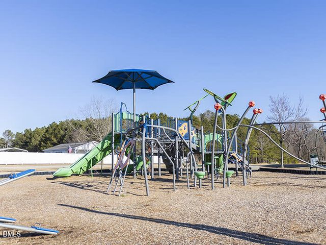 167 Maple Tree Lane, Wilsons Mills, NC 27527