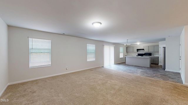 167 Maple Tree Lane, Wilsons Mills, NC 27527