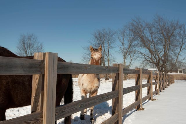 6419 N Wexford Lane, Springfield, MO 65803