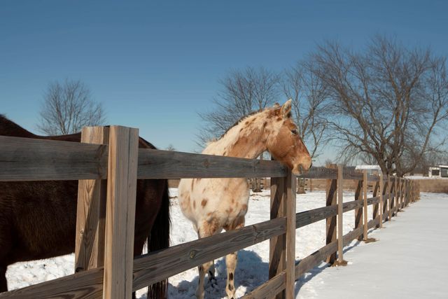 6419 N Wexford Lane, Springfield, MO 65803