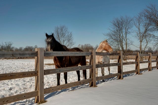 6419 N Wexford Lane, Springfield, MO 65803