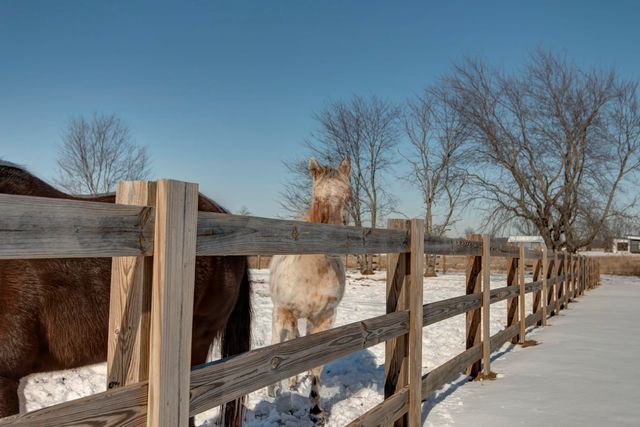 6419 N Wexford Lane, Springfield, MO 65803