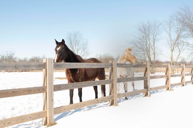 6419 N Wexford Lane, Springfield, MO 65803