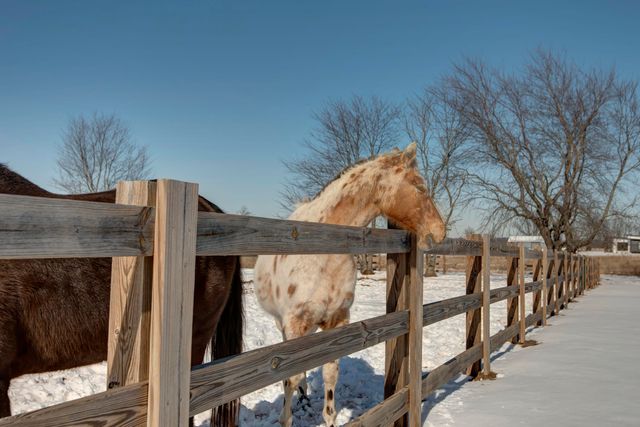 6419 N Wexford Lane, Springfield, MO 65803