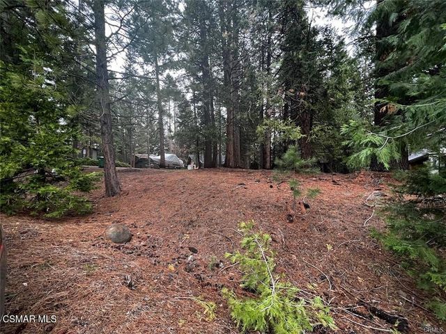 728 Lake Ridge Road, Lake Almanor, CA 96137
