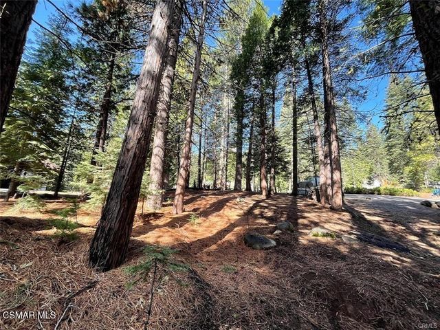 728 Lake Ridge Road, Lake Almanor, CA 96137