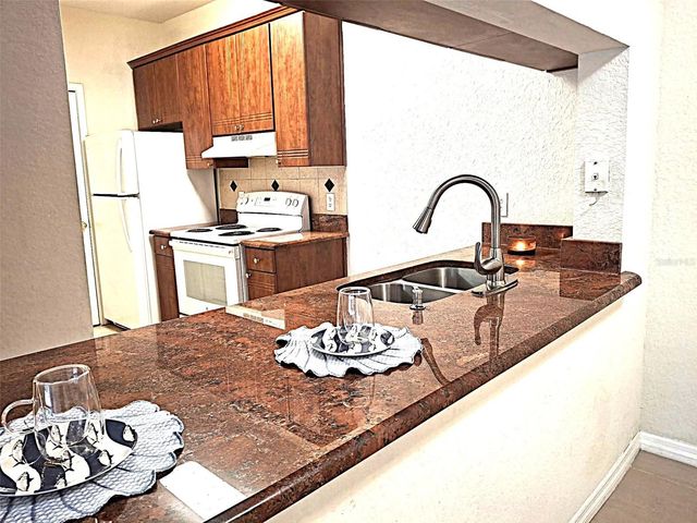 13304 SANCTUARY COVE DRIVE 302, Tampa, FL 33637