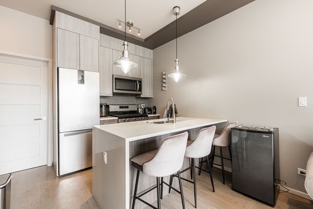 2108 W 18th Place 2, Chicago, IL 60608