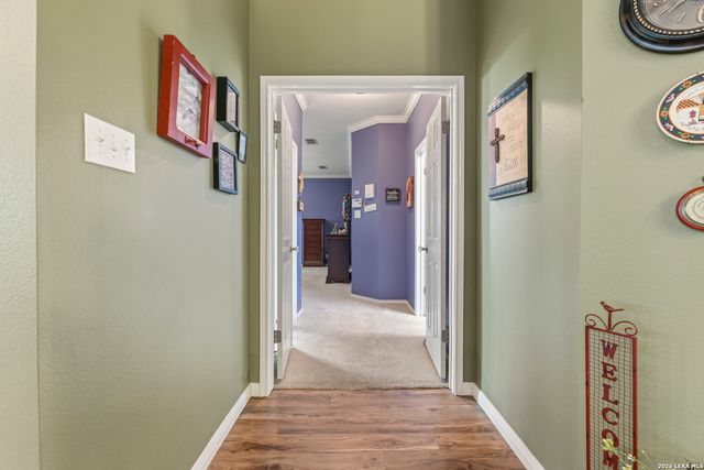 16911 Redland Downs, San Antonio, TX 78247