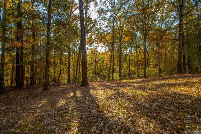 3500 HWY 5, Benton, AR 72019