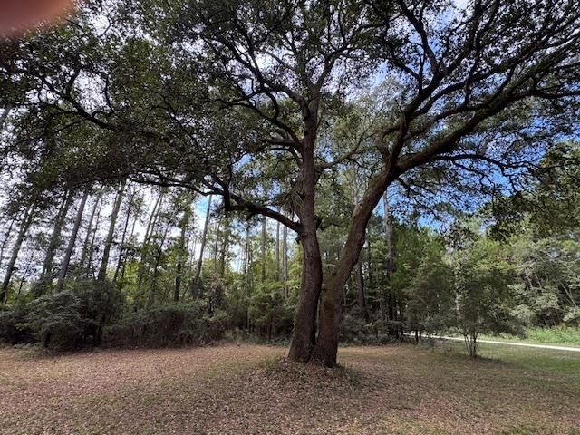 9715 Two Pines Rd., Mcclellanville, SC 29458