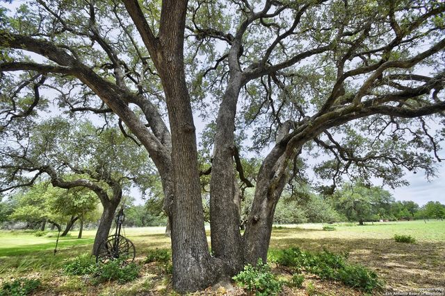 1810 Burr Oak, Adkins, TX 78101