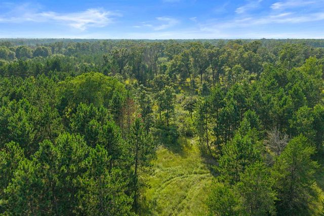 Lot 9 10th Avenue, Necedah, WI 54646