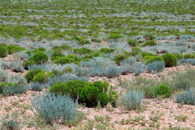 10 acres 11th Street, Sanford, CO 81151