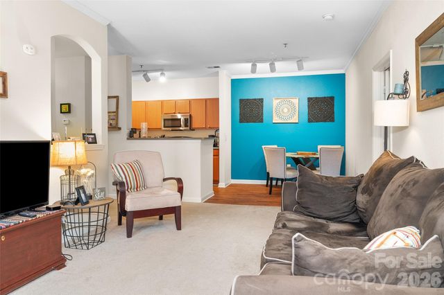 900 Vista Lake Drive 301, Candler, NC 28715