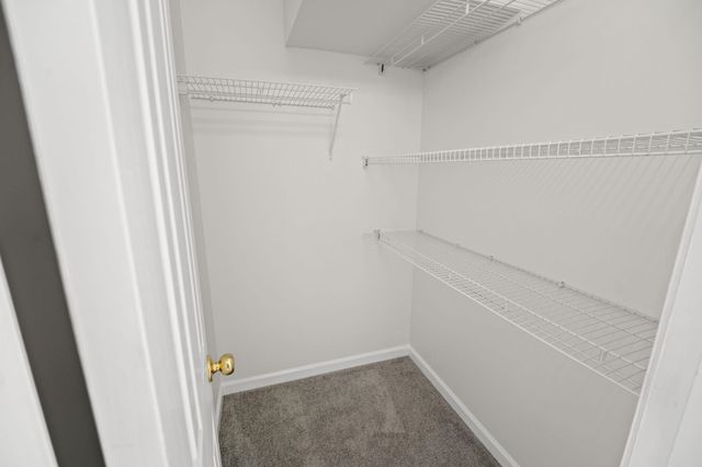 261 Ashepoo Creek Dr., Myrtle Beach, SC 29579
