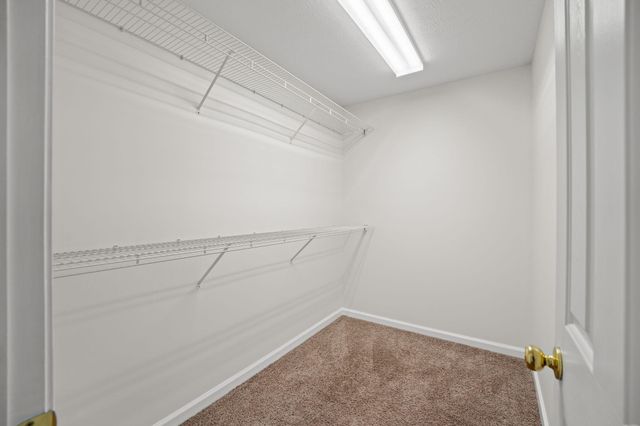 261 Ashepoo Creek Dr., Myrtle Beach, SC 29579
