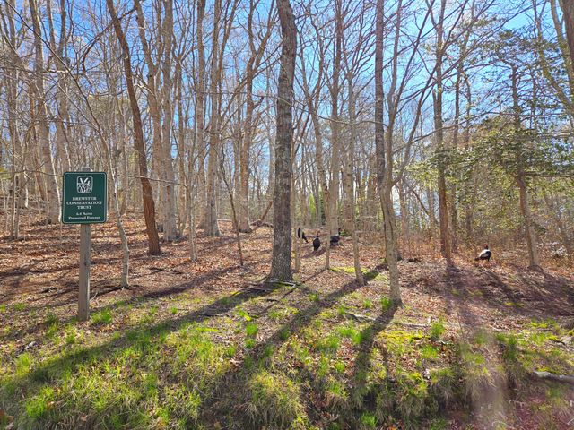 206 Landing Drive, Brewster, MA 02631