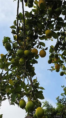 231 S Gain, Anaheim, CA 92804