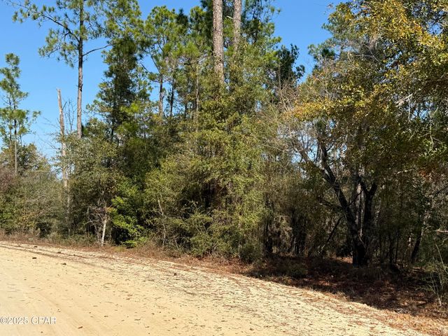 001 Anderson Drive, Alford, FL 32420