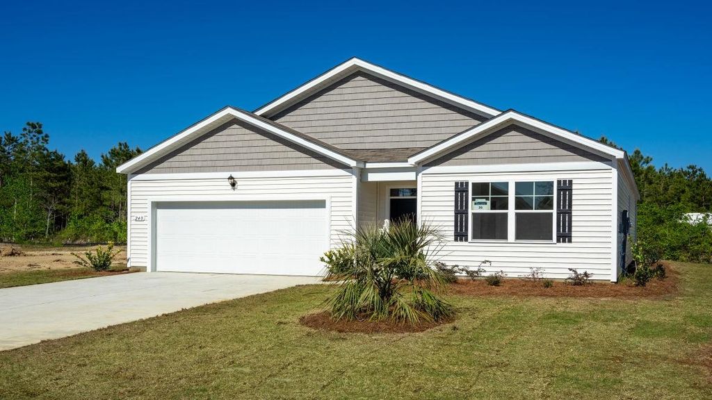 1206 Silage Hill Run Dr, Galivants Ferry, SC 29544 — photo 4