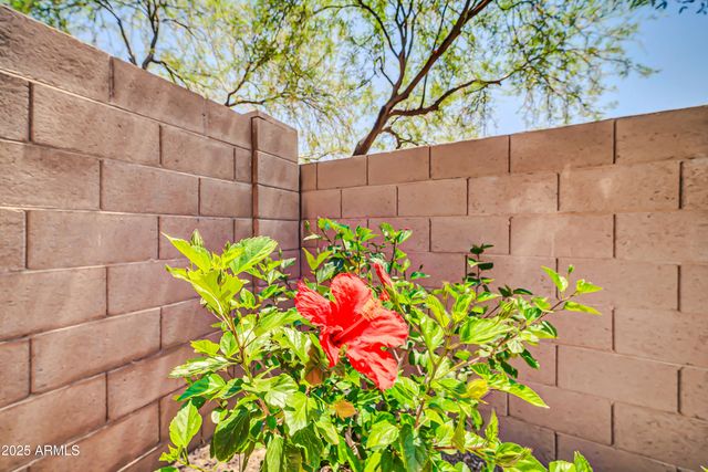 17429 W RED BIRD Road, Surprise, AZ 85387