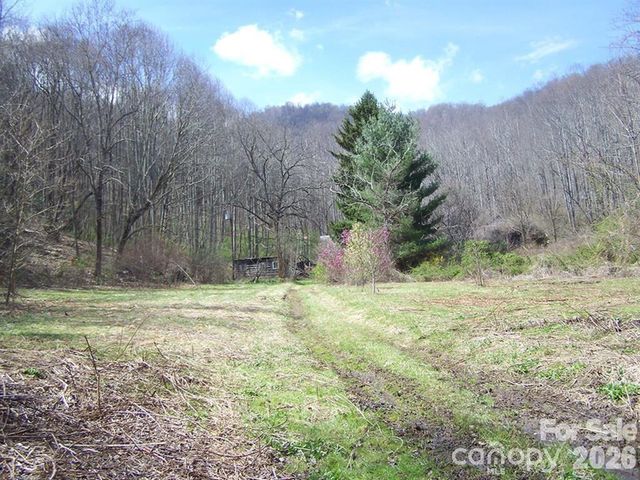 58 Collier Lane, Waynesville, NC 28786