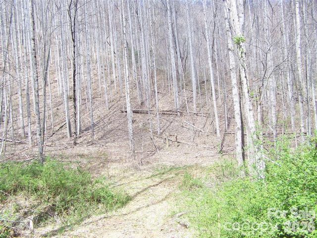 58 Collier Lane, Waynesville, NC 28786