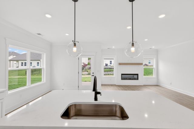 1479 Charlie Place, White House, TN 37188