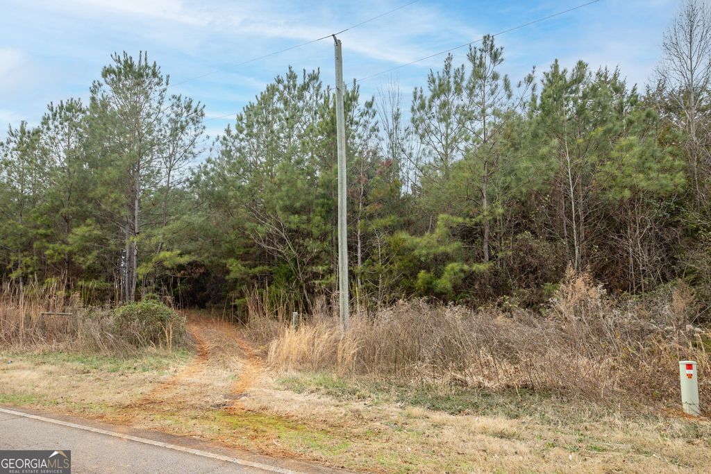 740 Broad River Church Road E, Eastanollee, GA 30538 — photo 3