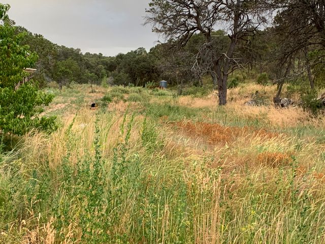 68 Canyon Road, Sandia Park, NM 87047