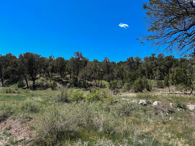 68 Canyon Road, Sandia Park, NM 87047