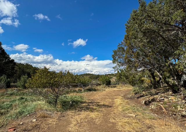 68 Canyon Road, Sandia Park, NM 87047