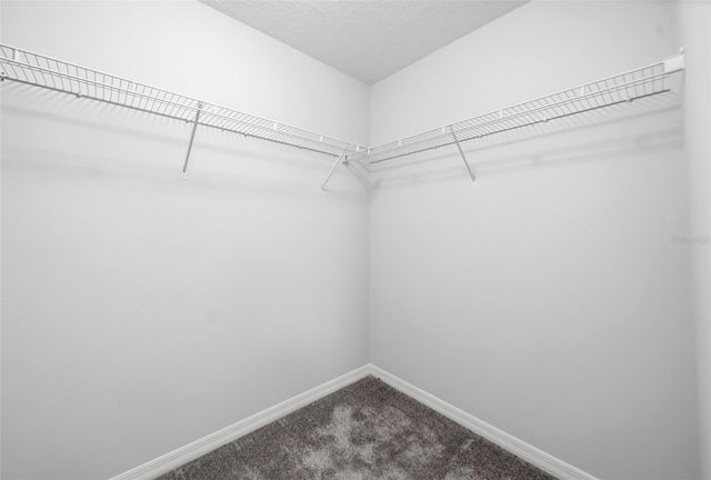 13736 SUMMERPORT VILLAGE PARKWAY, Windermere, FL 34786