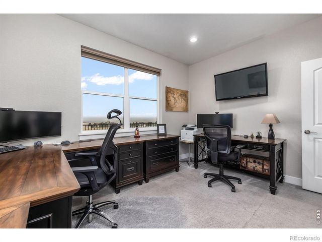 3789 Bridle Ridge Circle, Severance, CO 80524