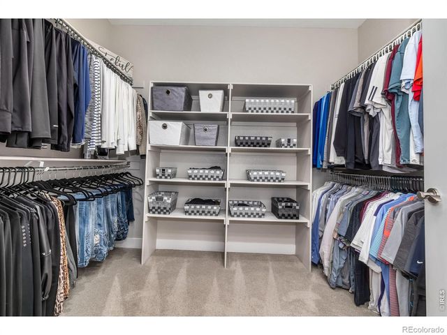 3789 Bridle Ridge Circle, Severance, CO 80524