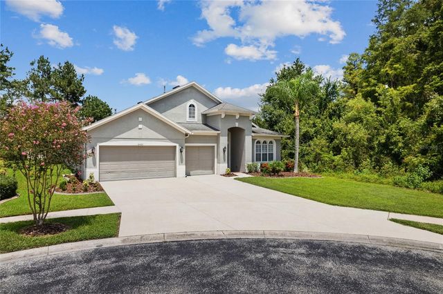 31421 ANNISTON DRIVE, Wesley Chapel, FL 33543