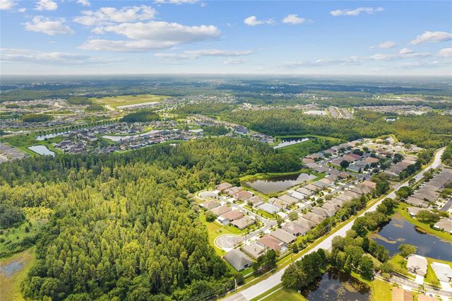 31421 ANNISTON DRIVE, Wesley Chapel, FL 33543